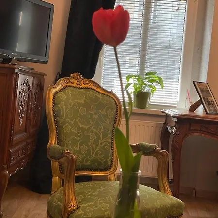 Silesian Stadium And Park * Chorzów