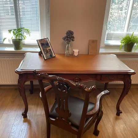 Silesian Stadium And Park * ホジューフ