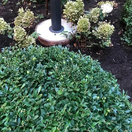 アパート Silesian Stadium And Park