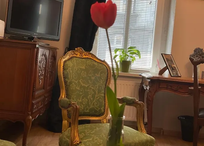 Silesian Stadium And Park * خوجوف