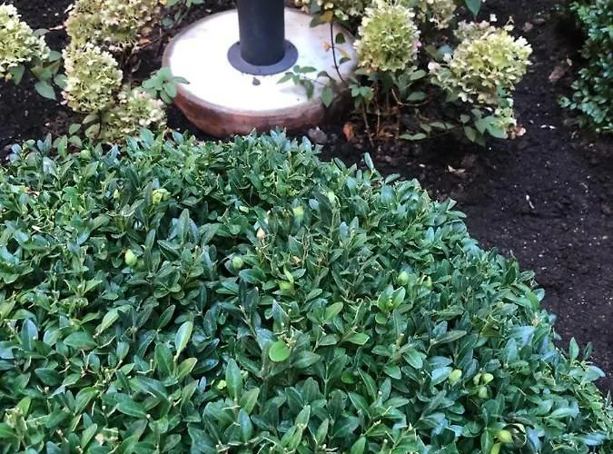 شقة Silesian Stadium And Park